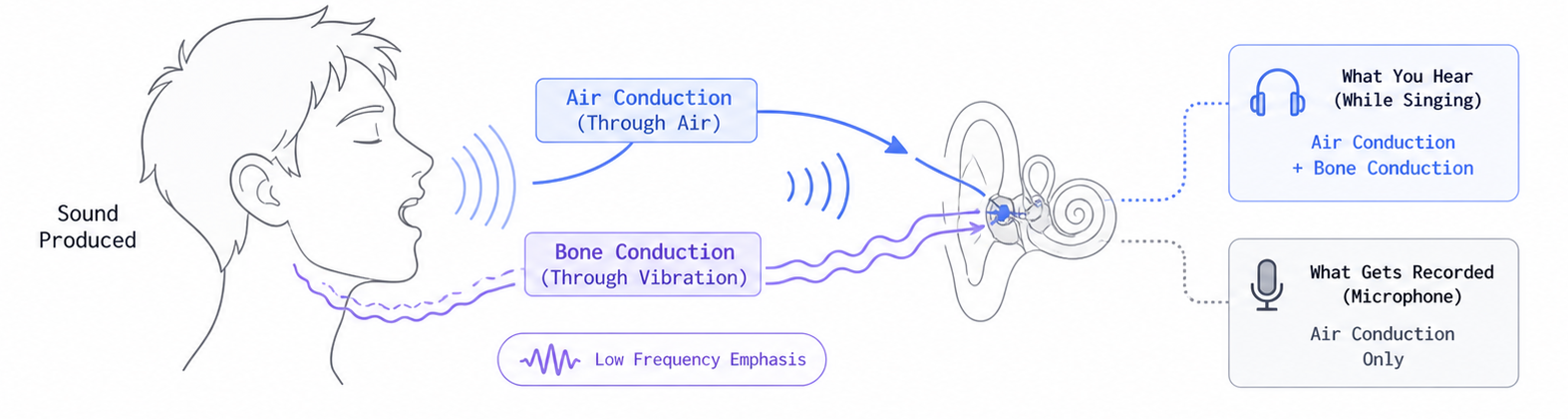 Diagram comparing bone conduction and air conduction pathways — showing the difference between how you hear yourself versus how you sound on a recording